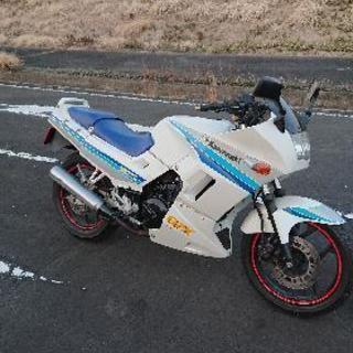 GPX250 車体
