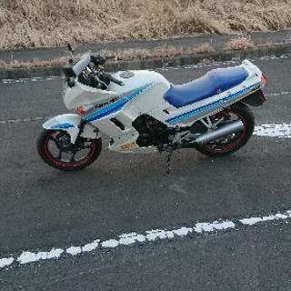 GPX250 車体