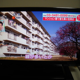 19インチ液晶テレビ★TLD-P190BK 2013年製