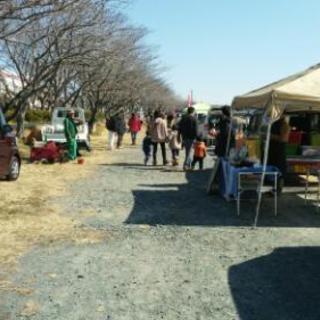 ほそえ姫市軽トラ市 カイロプラクティック施術会