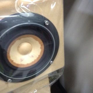 ★来店限定★フォステクス　FE108　バックロードホーンスピーカー　スーパースワンD-101S　完成品