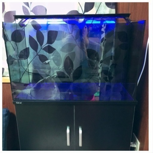 水槽セット60cm