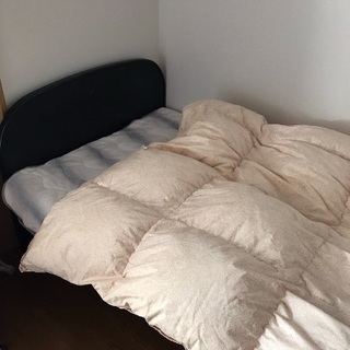 【無料】マット付きシングルベッド（フランスベッドとニトリ）