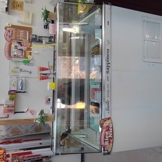 アイスクリームケース　店舗用　　サンヨー　SCR-VD14N　　...