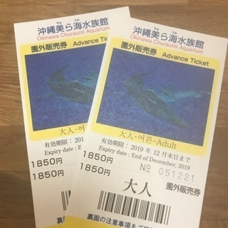 沖縄美ら海水族館 チケット2枚