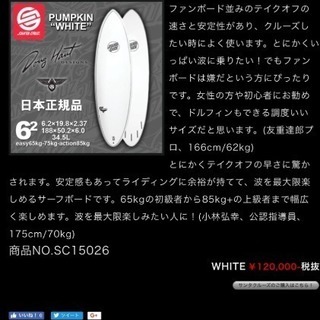 サンタクルーズサーフボード エポキシスキン 関東送料無料