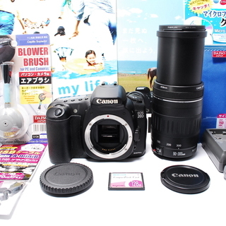 ✨入門機におすすめ✨EOS 20d レンズキット✨