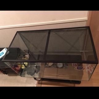 レグラス水槽90センチ