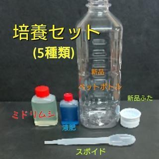 【繁殖セット】ミドリムシ(ユーグレナ)30cc・液肥つき