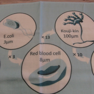 【あげます】科学勉強タオル