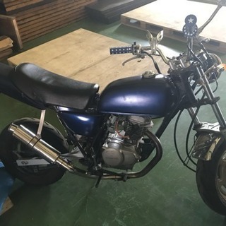 エイプ50商談中