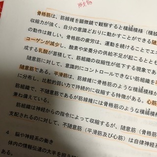 定価48600円 登録販売者 テキスト DVD セット キャリアカレッジ