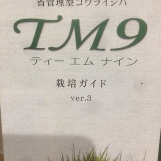 芝生（TM9）
