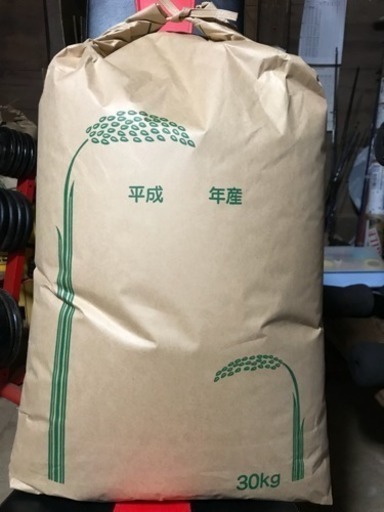 ヒノヒカリ 30kg 2017年米 農家のお米