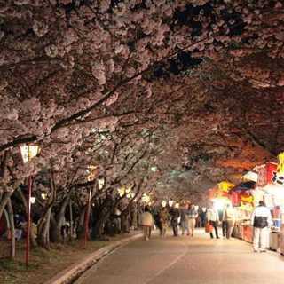 「お花見女装in日岡公園BBQ～♪」