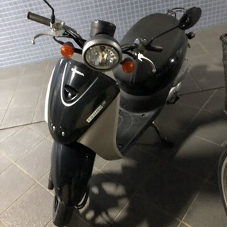 トゥデイf Af67 自賠責長い ぴす 高知のバイクの中古あげます 譲ります ジモティーで不用品の処分