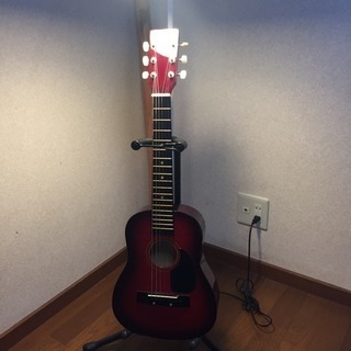 アコースティックギター StarGazer UPP-2