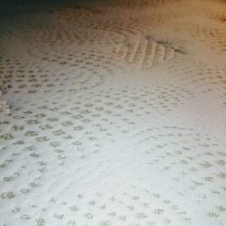 ダブルサイズマットレス☆