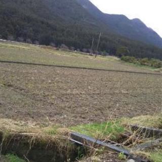 値下げ‼️)田んぼ、畑売ります❗(畑にも、果樹園等々、農産物や花なら ...