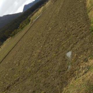 値下げ‼️)田んぼ、畑売ります❗(畑にも、果樹園等々、農産物や花なら ...