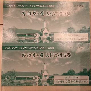 なばなの里入村券2枚セット