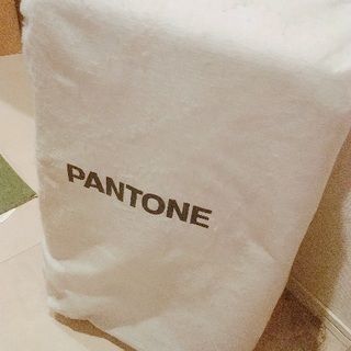 PANTONE/ピンクスーツケース
