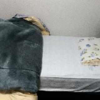 引き出し処分　寝具付き　ベッド