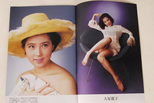 美品 昭和の女優は美しい 小冊子 写真集 加賀まりこ 倍賞千恵子 三田佳子他 (ひろ) 岡崎のその他の中古あげます・譲ります｜ジモティーで不用品の処分