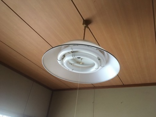 電灯