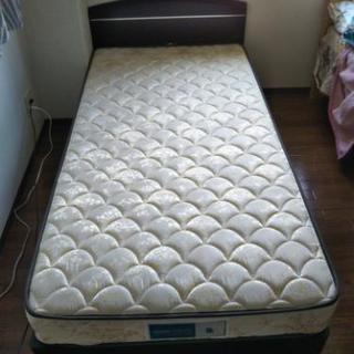 シングルベッド綺麗です！