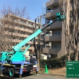 高木剪定 伐採致します（埼玉県所沢市 狭山市入間市川越市入間市〜