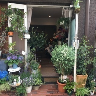 用賀駅から歩いて3分のお花屋さんとヨガのお教室のお店です。お花屋...