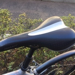 GAIANT ESCAPE 500 （ジャンク）