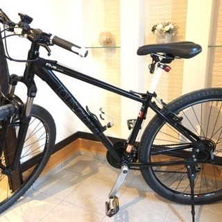 ルイガノ 29インチ マウンテンバイク