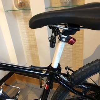 ルイガノ 29インチ マウンテンバイク