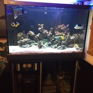 レッドシー オーバーフロー