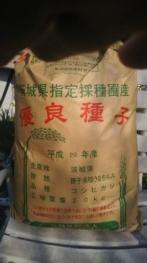 コシヒカリ 種もみ 消毒種子 20kg
