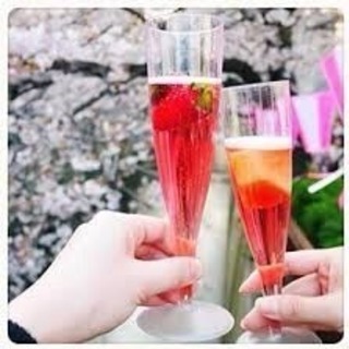 ロゼ（桜ワイン）を飲みながら花見しましょう🥂