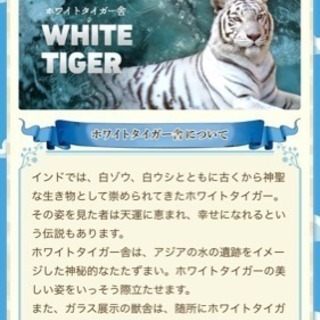 ホワイトタイガーで有名な東武動物公園フリーパス☆