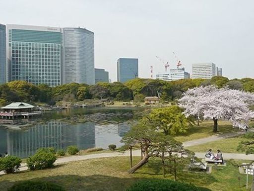 4月8日 日 お花見の名所 浜離宮庭園お花見ウォーキングコン 全国恋活パーティー 新橋のパーティーのイベント参加者募集 無料掲載の掲示板 ジモティー