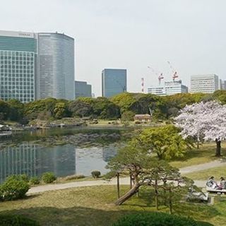 4月8日(日) お花見の名所！浜離宮庭園お花見ウォーキングコン!