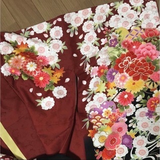 二尺袖袴袴下帯セット