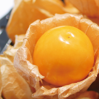 【スーパーフード】甘い大粒食用ほおずき「ゴールデンベリー」の種20粒 - 茅野市