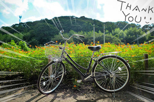 自転車の修理 地元店とチェーン店
