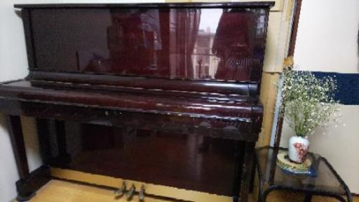 ピアノＬＯＲＩＳ中古