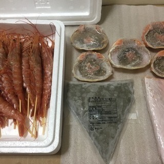 新鮮セット✨蟹味噌甲羅５、蟹味噌チューブ３００g、大トロハラスお...