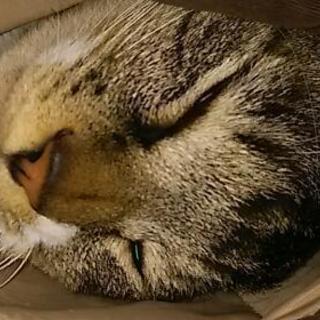 お一人さま 苦手な人