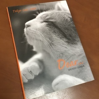 【新品】猫写真集「Dear...  Tokyo Cats 1999」