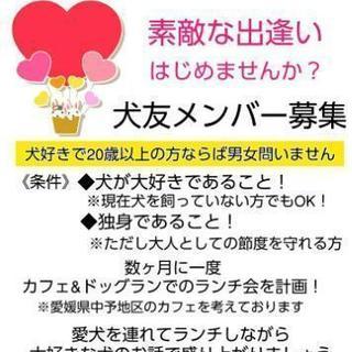 犬が大好きな人達とワイワイ楽しみたい！犬友募集！