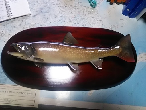 渓魚イワナのはくせい　リアルです